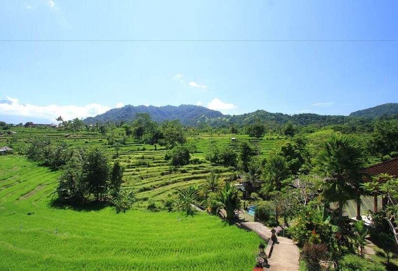 בית מלון כפרי Abian Ayu Villa