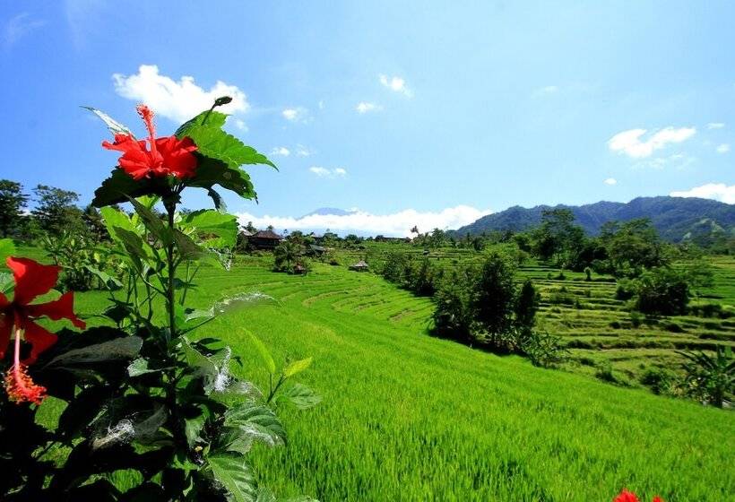 בית מלון כפרי Abian Ayu Villa