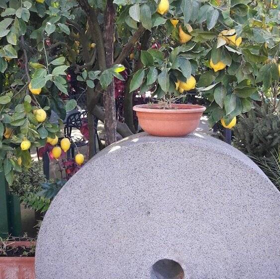 בית מלון כפרי Agriturismo La Lobra