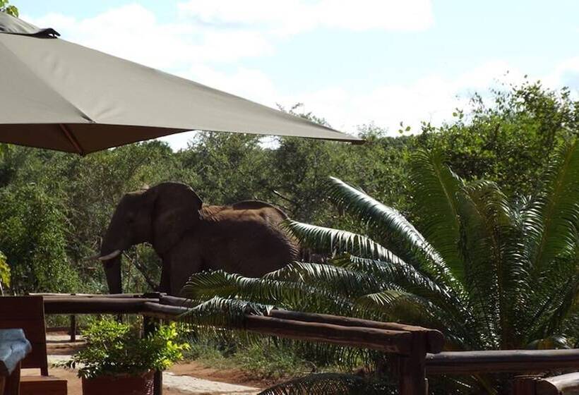 בית מלון כפרי Baluleni Safari Lodge