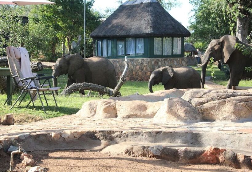 בית מלון כפרי Baluleni Safari Lodge