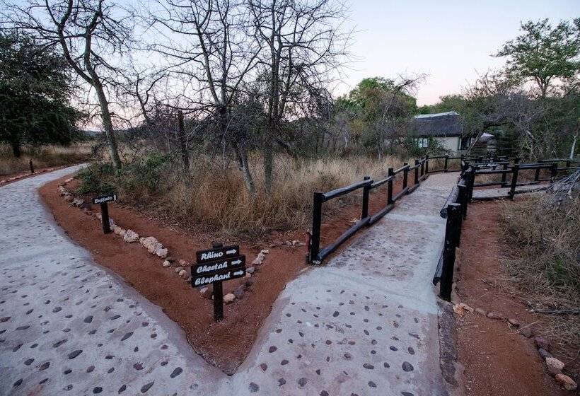 בית מלון כפרי Baluleni Safari Lodge