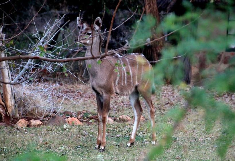 בית מלון כפרי Baluleni Safari Lodge