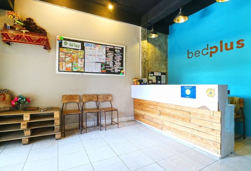 فندق Bedplus Backpacker