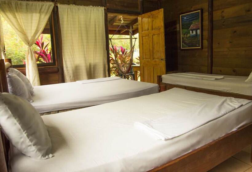 فندق Canto De Ballenas