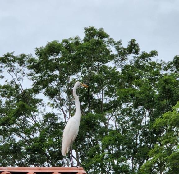فندق Canto De Ballenas