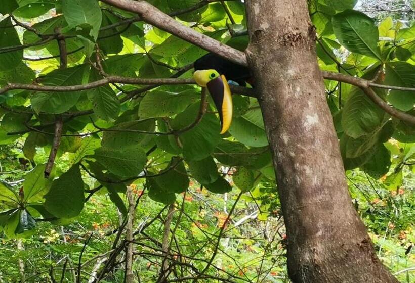 فندق Canto De Ballenas