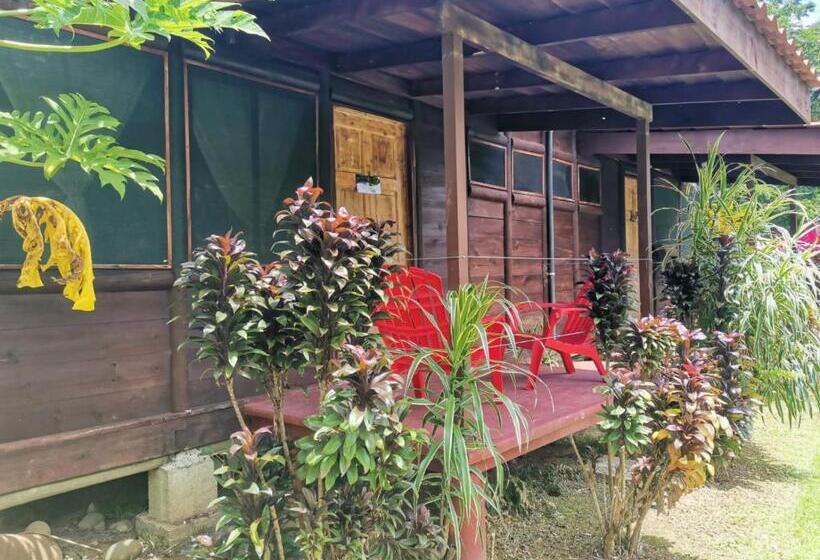 فندق Canto De Ballenas