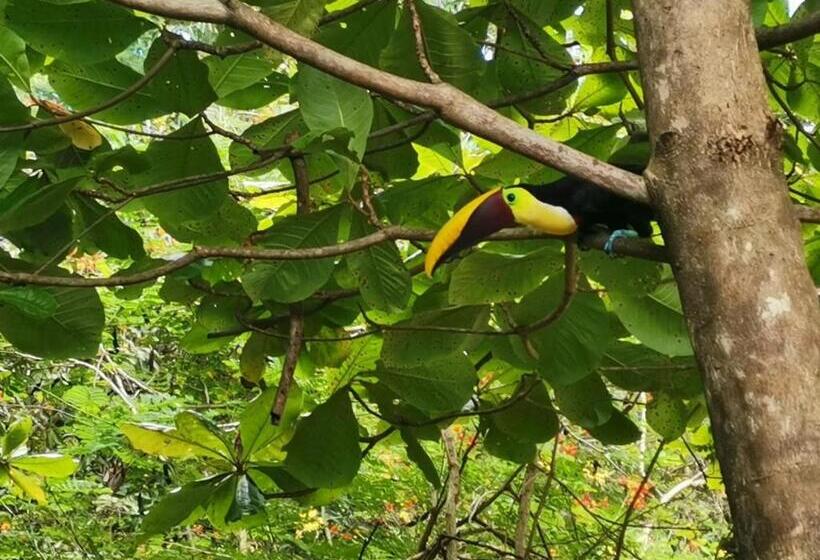 فندق Canto De Ballenas