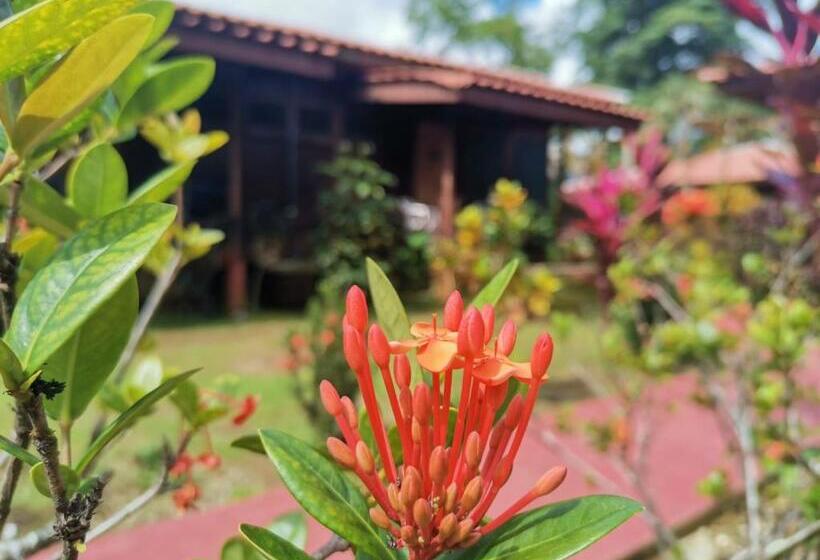 فندق Canto De Ballenas