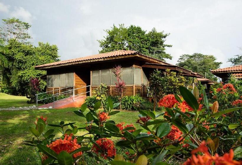 فندق Canto De Ballenas