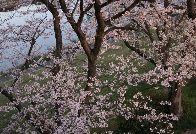 酒店 Dressy  Adults Only