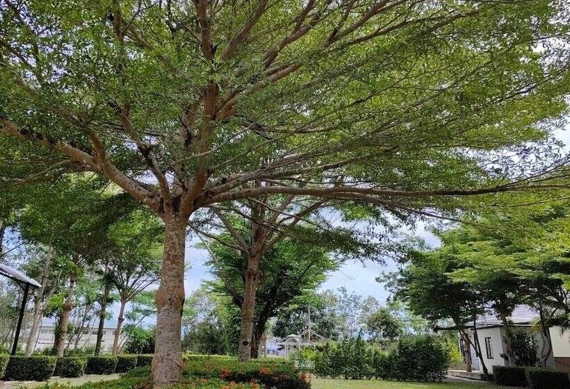 Hotel แกรนด์ ฟอเรสท์ Grand Forest