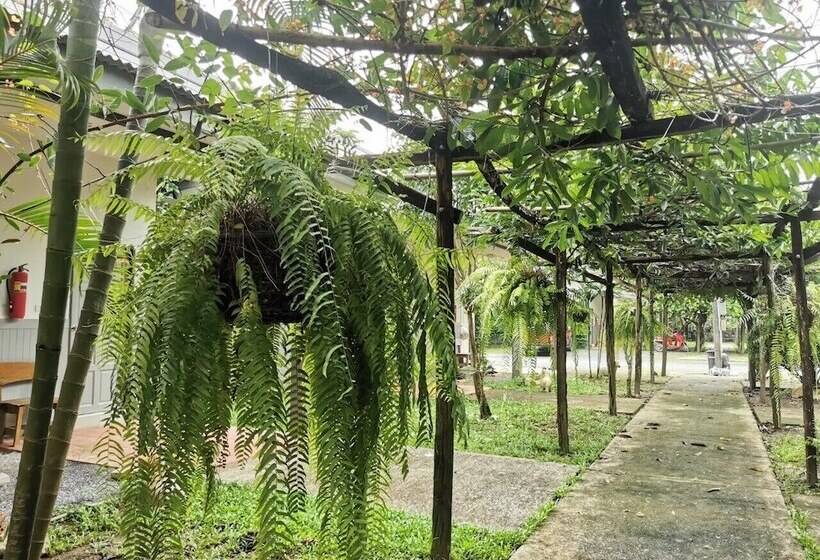 Hotel แกรนด์ ฟอเรสท์ Grand Forest