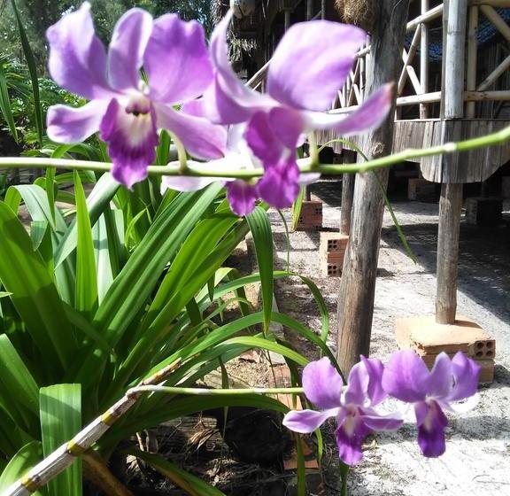 호텔 Otres Orchid Beach Resort