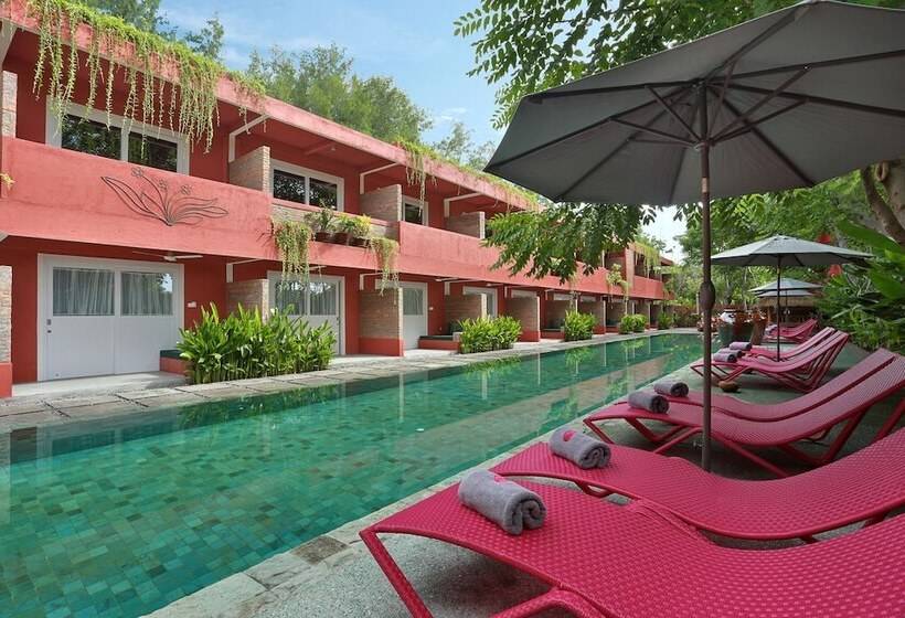 هتل Pinkcoco Gili Trawangan   Constant Surprises   For Cool Adults Only