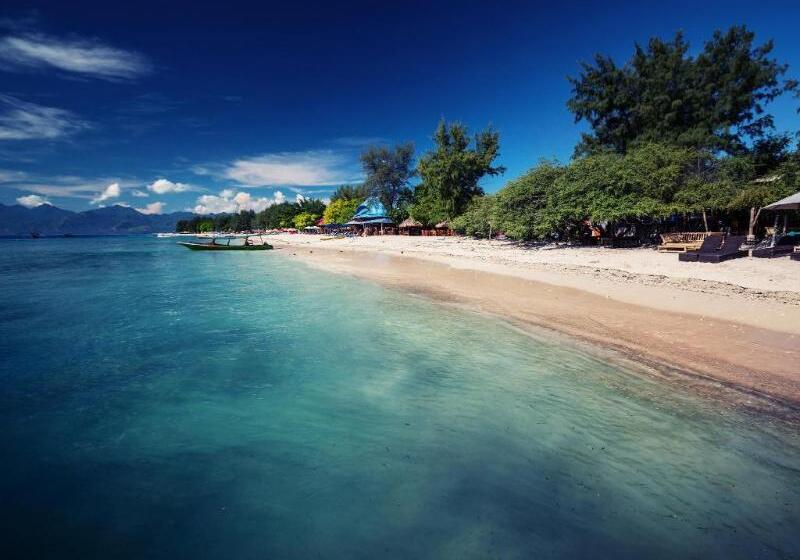هتل Pinkcoco Gili Trawangan   Constant Surprises   For Cool Adults Only