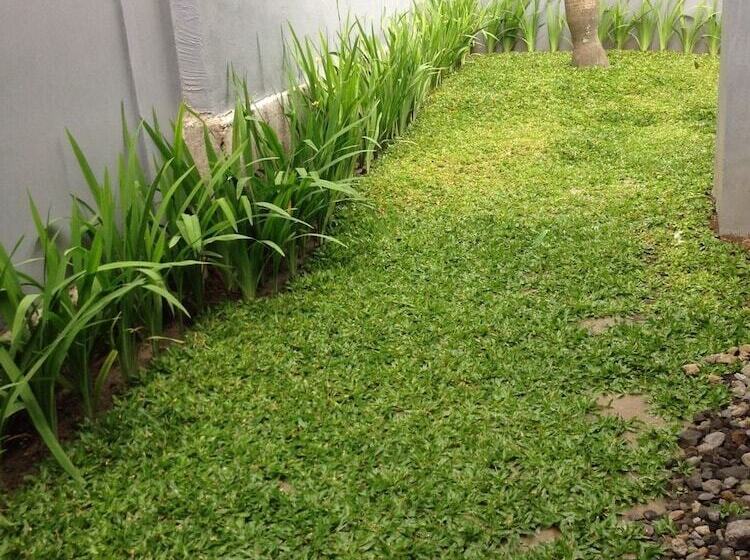 فندق Safa Homestay