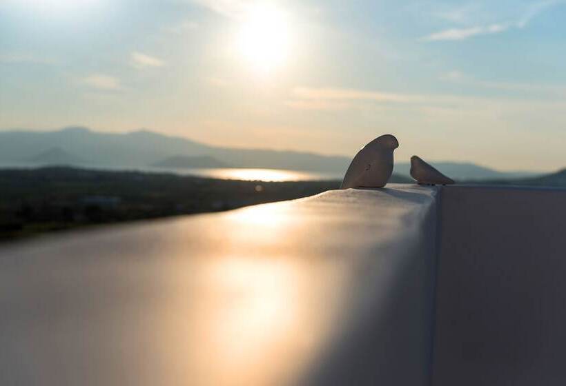 فندق Seven Suites