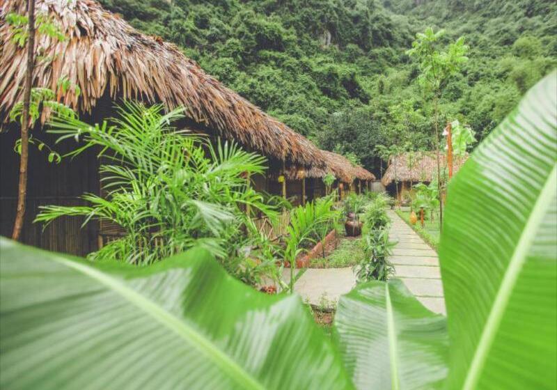 هتل Tam Coc Rice Fields Resort
