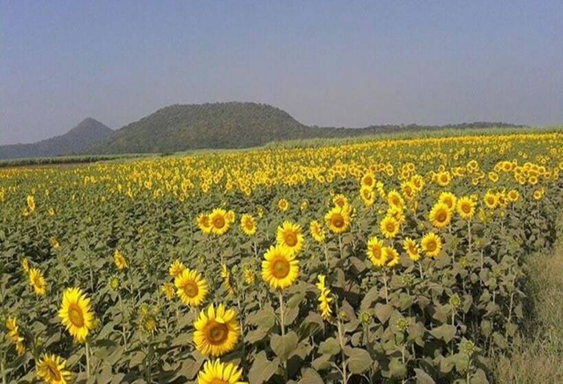 בית מלון כפרי The Infinite Resort Nakhon Sawan