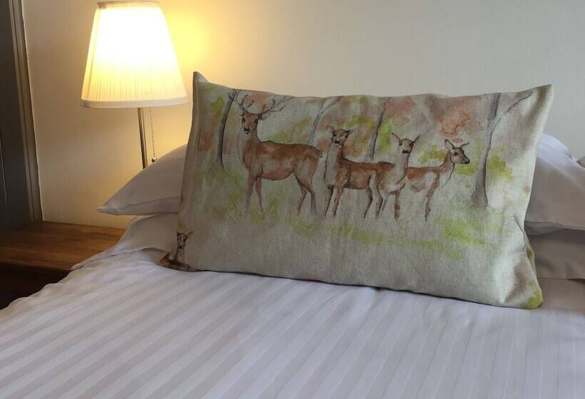 مبيت وإفطار Lovat House