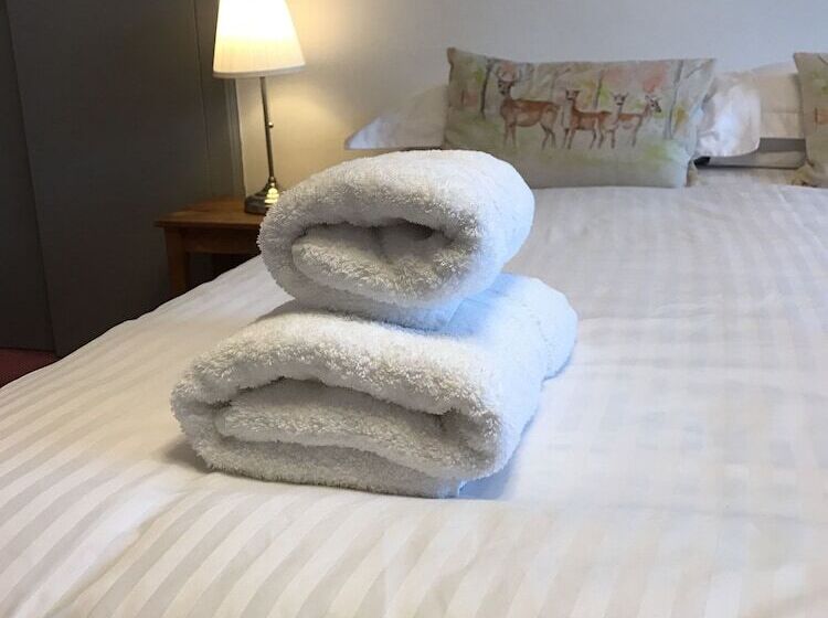 مبيت وإفطار Lovat House