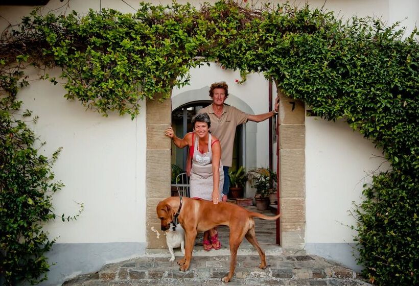 פנסיון Chianti Yoga   The Tuscan Collection