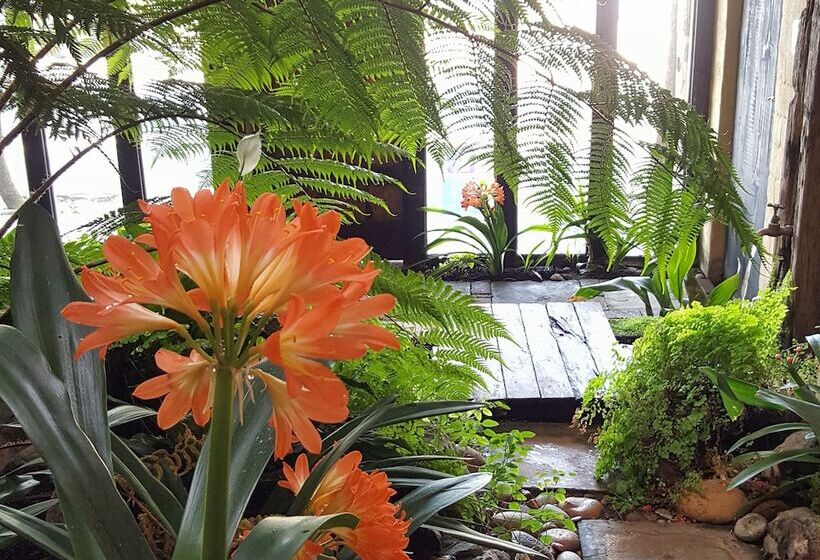 膳宿费 Hornbill House