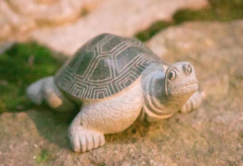 بنسيون Guesthouse Hana Nishijin