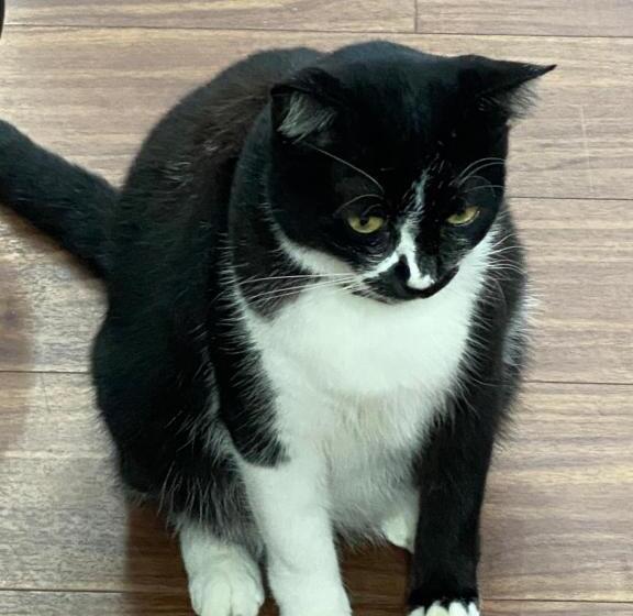 펜션 Nan Inn Bungalow