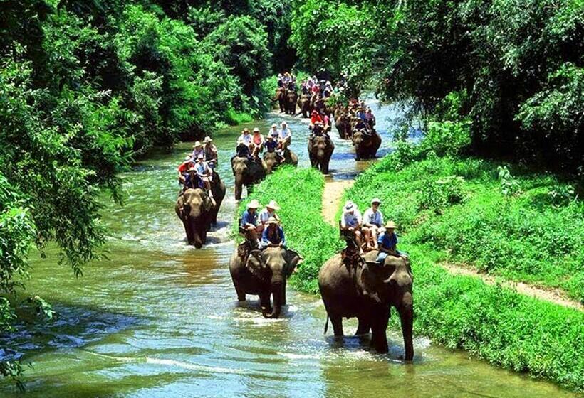 بنسيون Rimsuan House