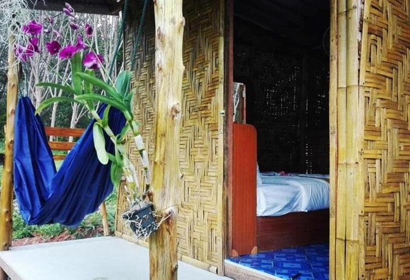 بنسيون Rimsuan House