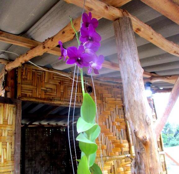 بنسيون Rimsuan House