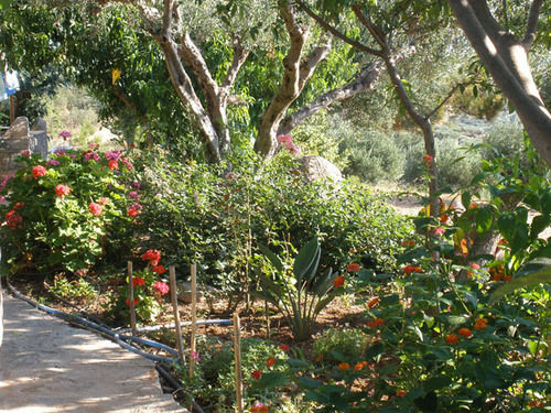 Porto Heli Apartments