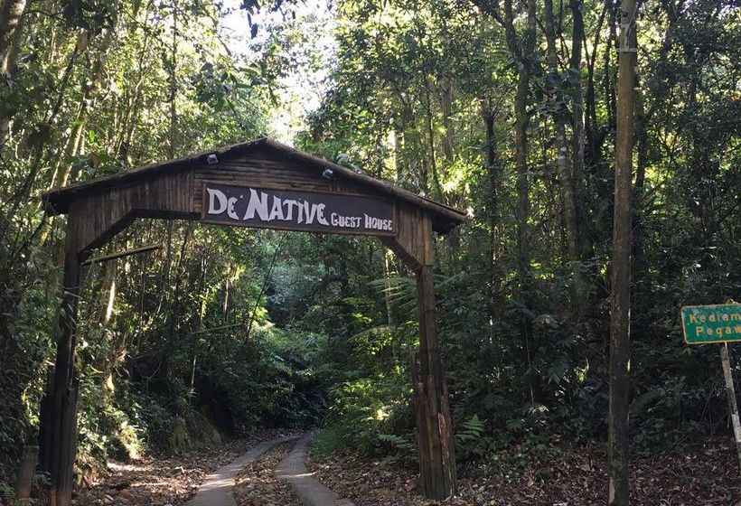 De  Native Guest House  Hostel