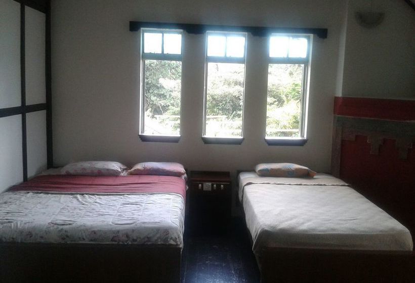 De  Native Guest House  Hostel
