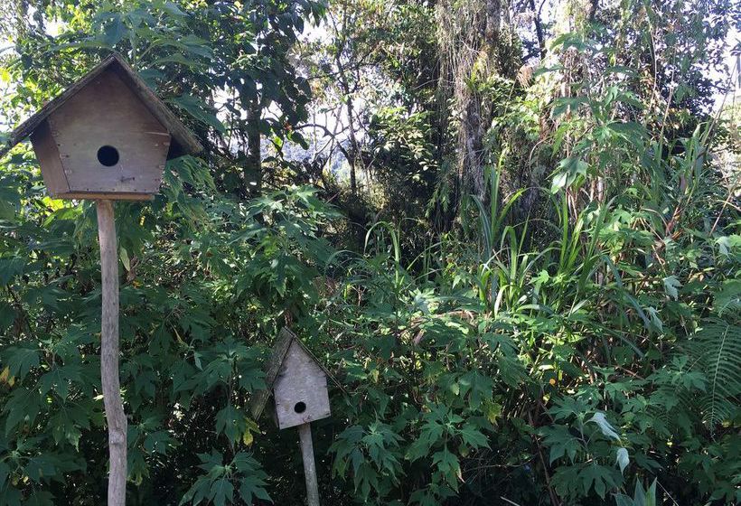 De  Native Guest House  Hostel