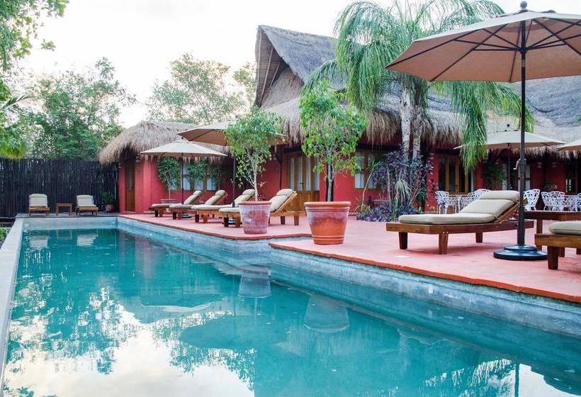 هاستل Hostal El Choco