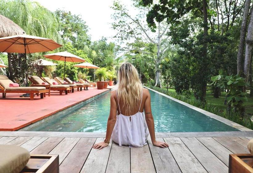 هاستل Hostal El Choco