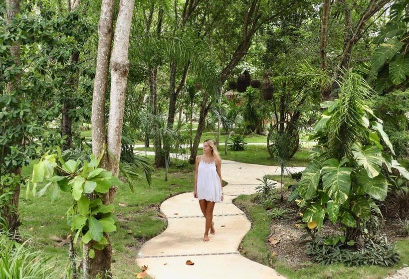 هاستل Hostal El Choco