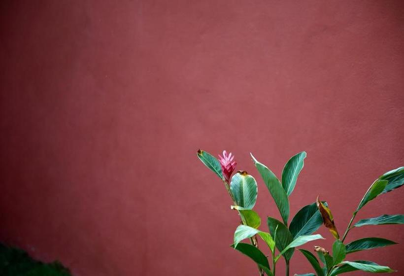 هاستل Hostal El Choco