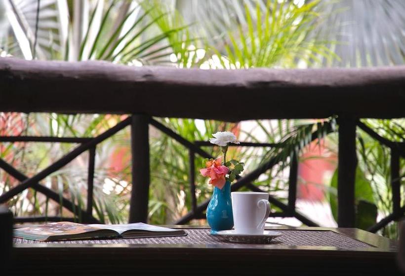 هاستل Hostal El Choco