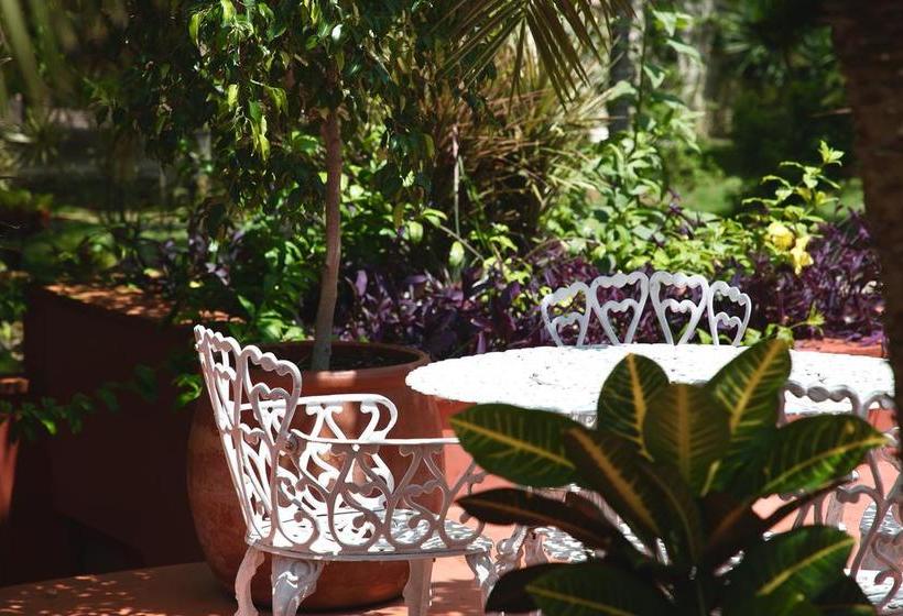 هاستل Hostal El Choco