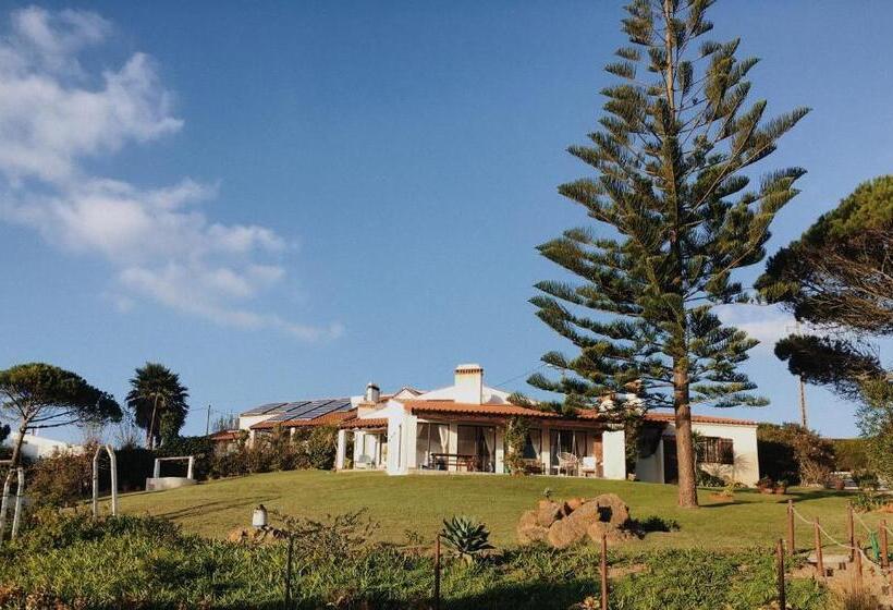 هاستل Surf Vilas By Laneez Ericeira