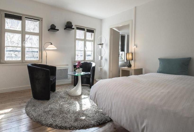 Appartements Orfèvres Cathédrale