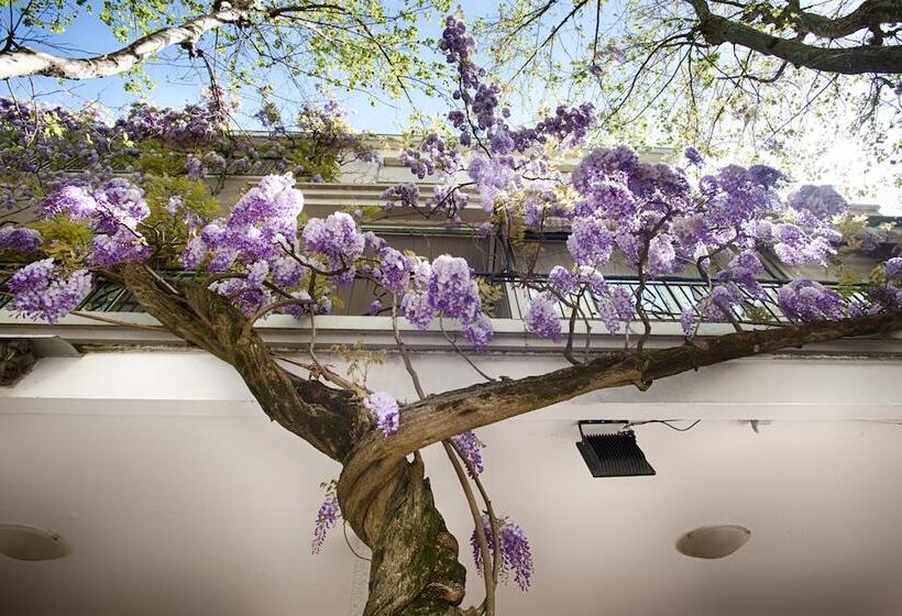 تختخواب و صبحانه Albergo Villa Lucia