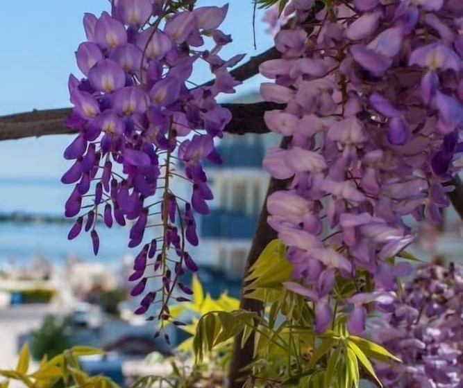 تختخواب و صبحانه Albergo Villa Lucia