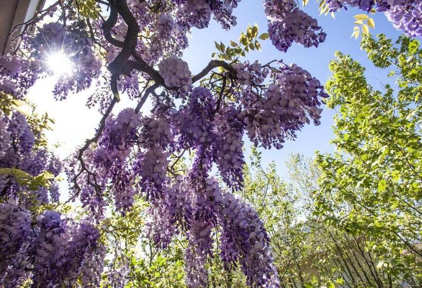 ベッドアンドブレックファースト Albergo Villa Lucia