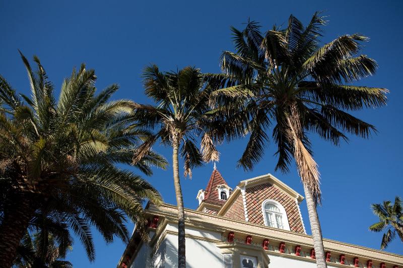 민박 Casa Das Palmeiras Charming House  Azores 1901